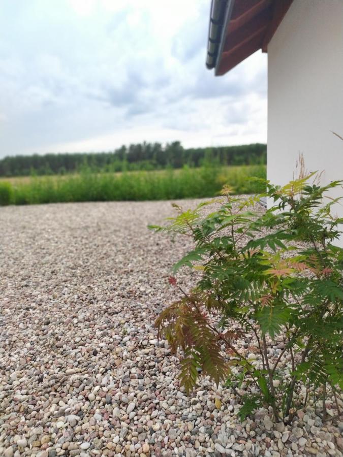 Zurawia Polana Villa Swietajno  ภายนอก รูปภาพ