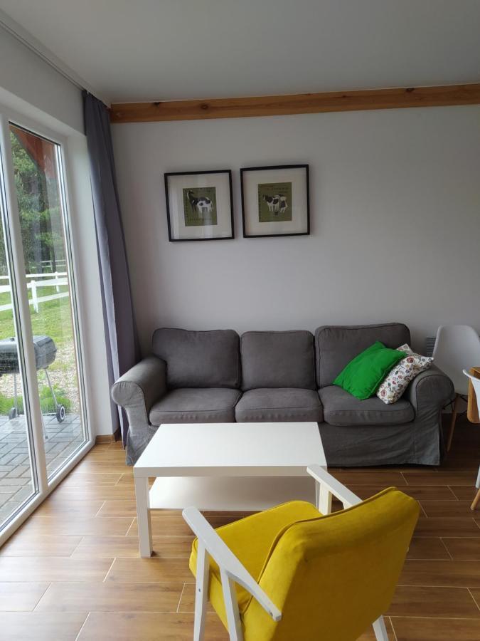 Zurawia Polana Villa Swietajno  ภายนอก รูปภาพ